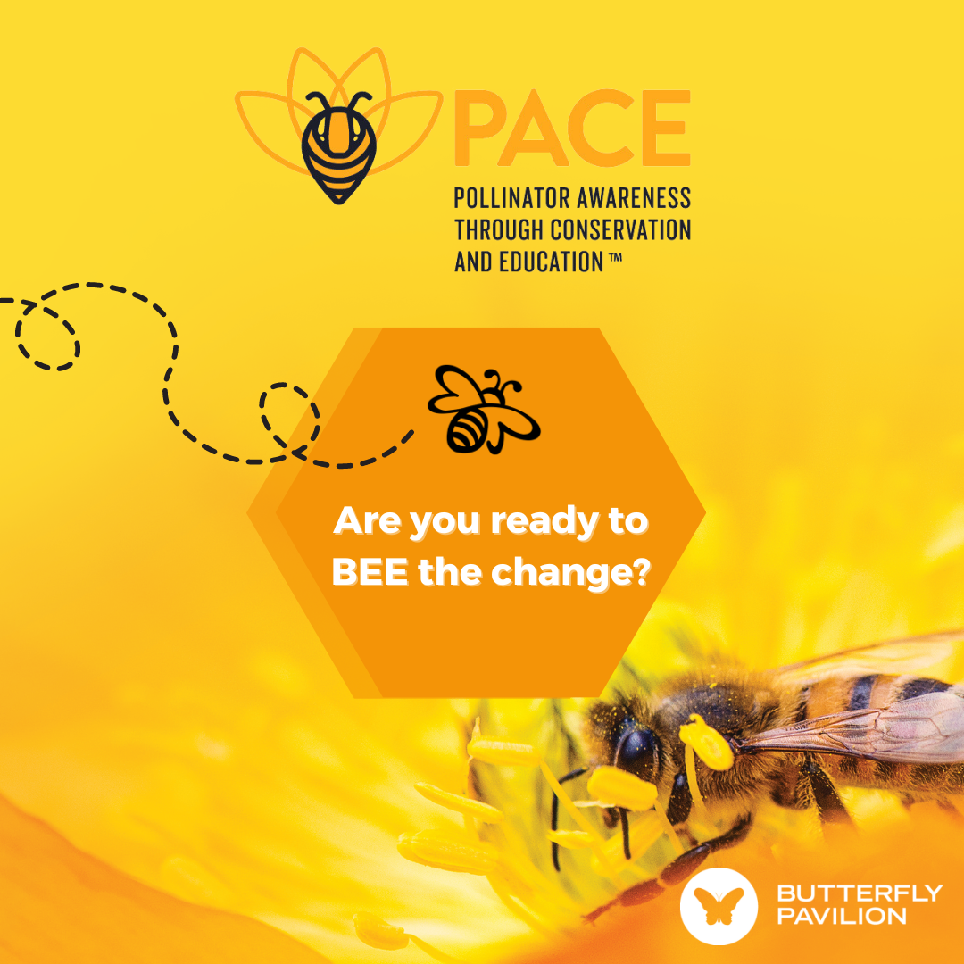 Butterfly Pavilion's Pollinator Palooza Kinney Law Office